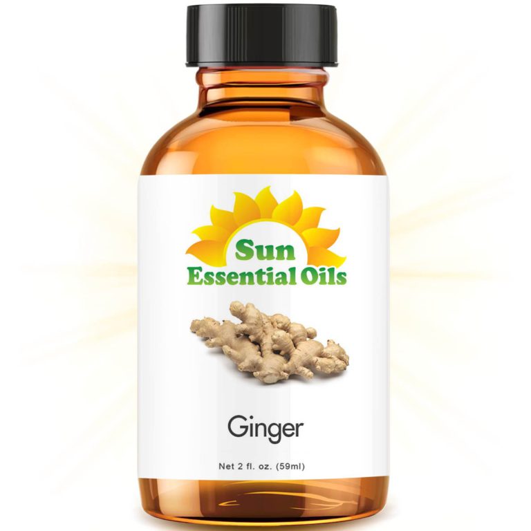 Ginger (2 fl oz) Best Essential Oil - 2 Ounces (59ml) Ginger 2oz - $18.95