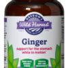 Oregon's Wild Harvest Ginger Organic Herbal Supplement, 90 Count - $16.95