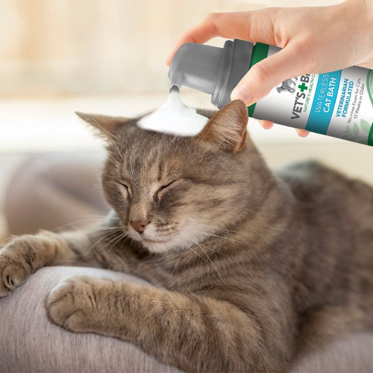 Vet's Best No-Rinse Clean Waterless Cat Shampoo. Natural Formula, 4 oz 1Pack - $10.95