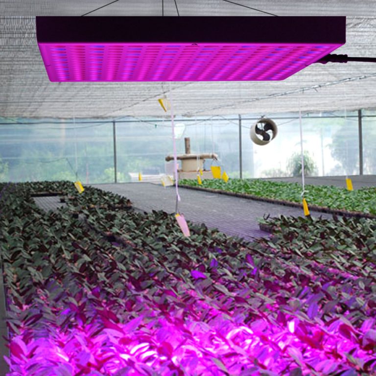 Erligpowht 45W LED Red Blue Hanging Light for Indoor Plant - $44.95