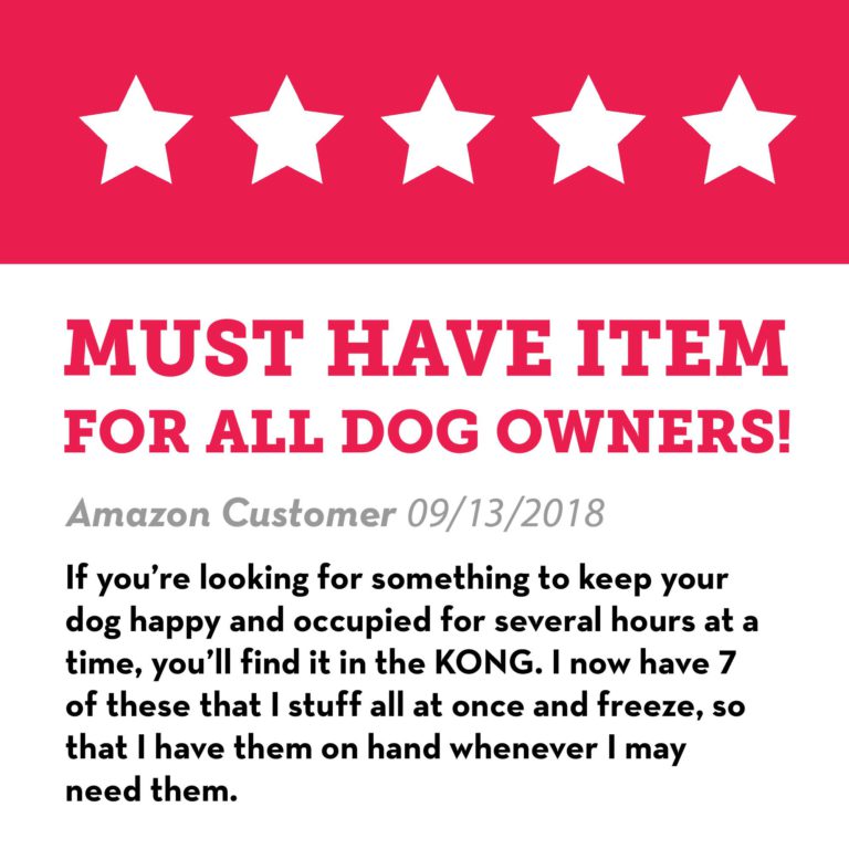 Kong Classic Dog Toy Large Standard Packaging - $19.95