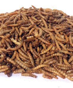 NaturesPeck Mealworm Time Dried Mealworms from (5 lbs) -Non-GMO for Chickens & Wild Birds - $49.95