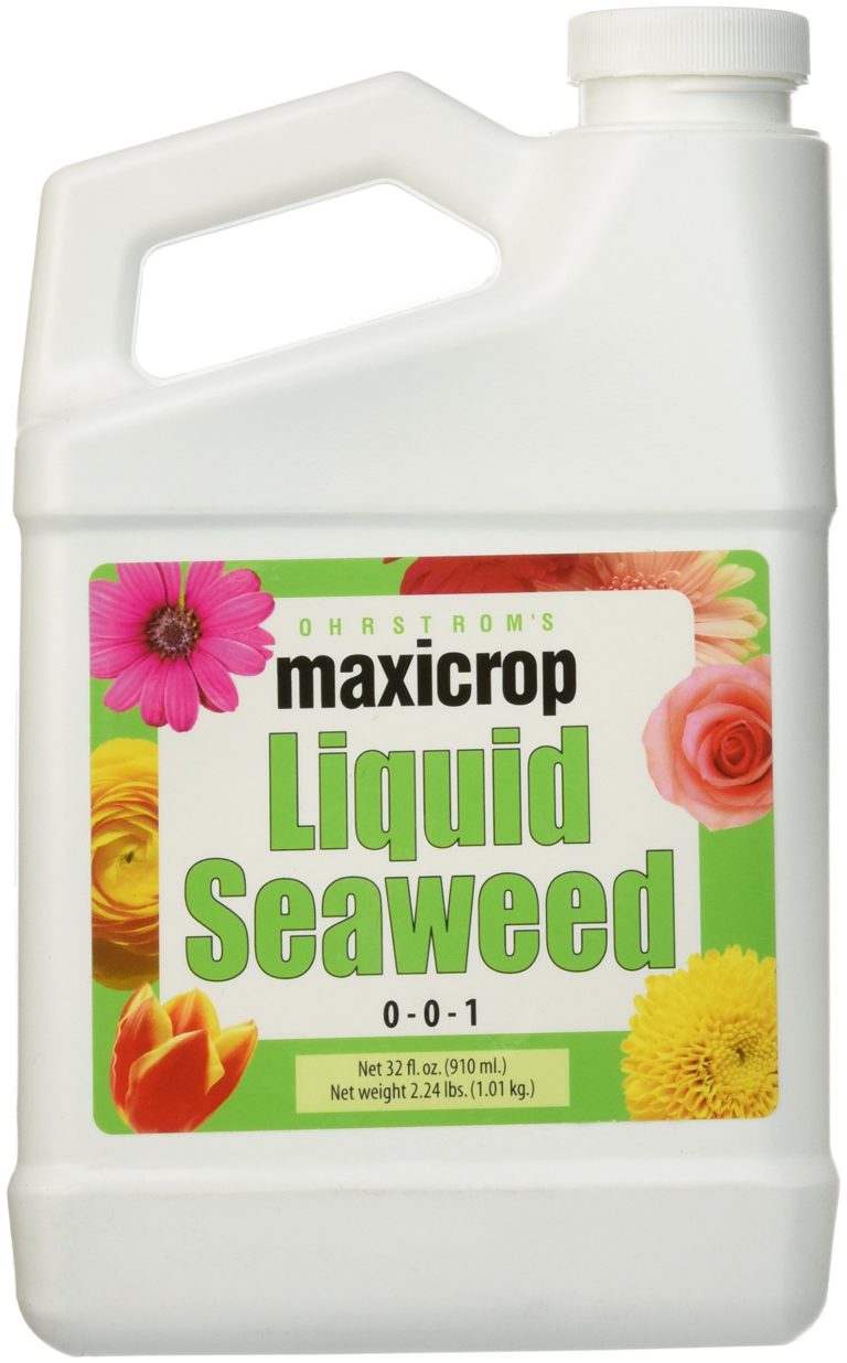 Maxicrop Liquid Seaweed (Kelp Extract, 32 Oz 1 Quart - $23.95