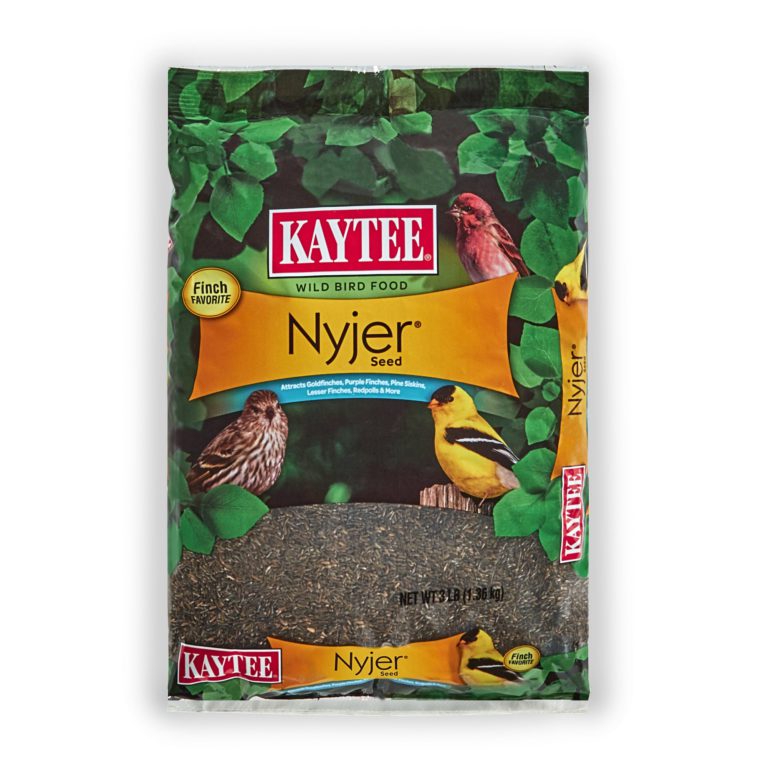 Kaytee Nyjer Thistle Seed 3 lb - $16.95