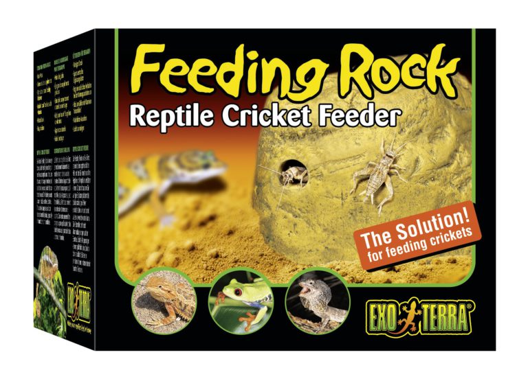Exo Terra Reptile Cricket Feeder - $14.95
