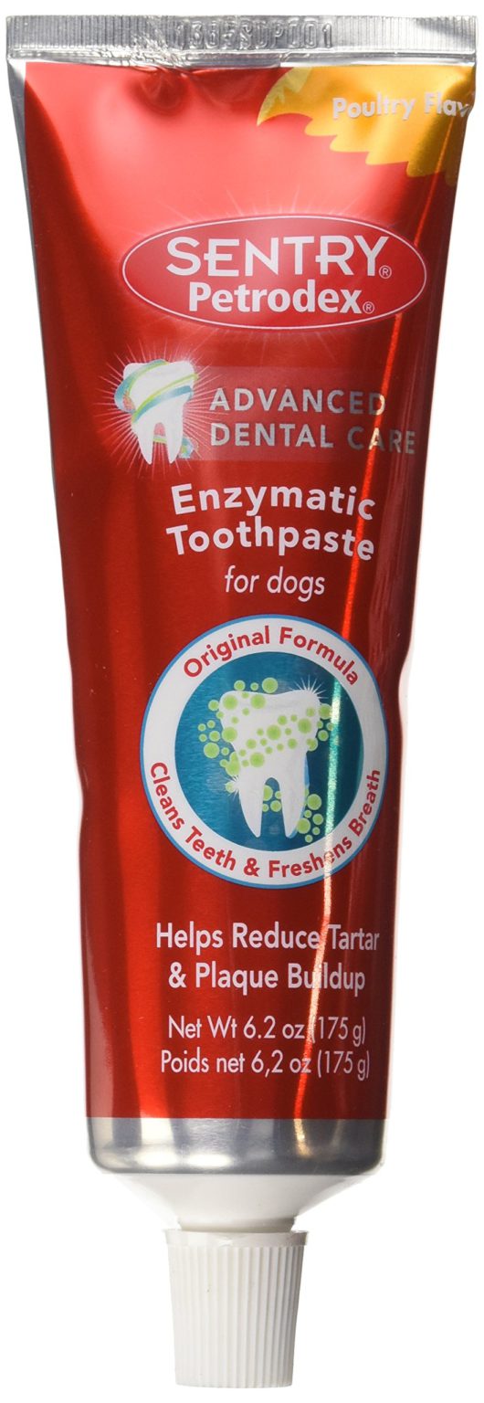 Petrodex Enzymatic Toothpaste for Dogs, Helps Reduce Tartar and Plaque Buildup, Poultry Flavor 6.2-ounce - $13.95
