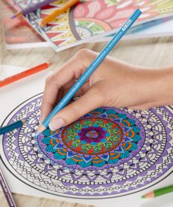 Prismacolor Premier Colored Pencils, Soft Core, 150 Pack 150-Pack Standard Packaging 15 91MKrafPheL