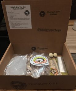 Shiitake Plug Spawn Starter Kit - Grown Your Own Mushrooms - $25.95