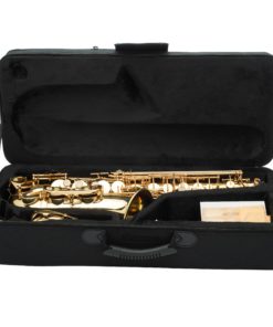 Jean Paul USA AS-400 Student Alto Saxophone Brass Saxophone only 6 91f KJf 0cL