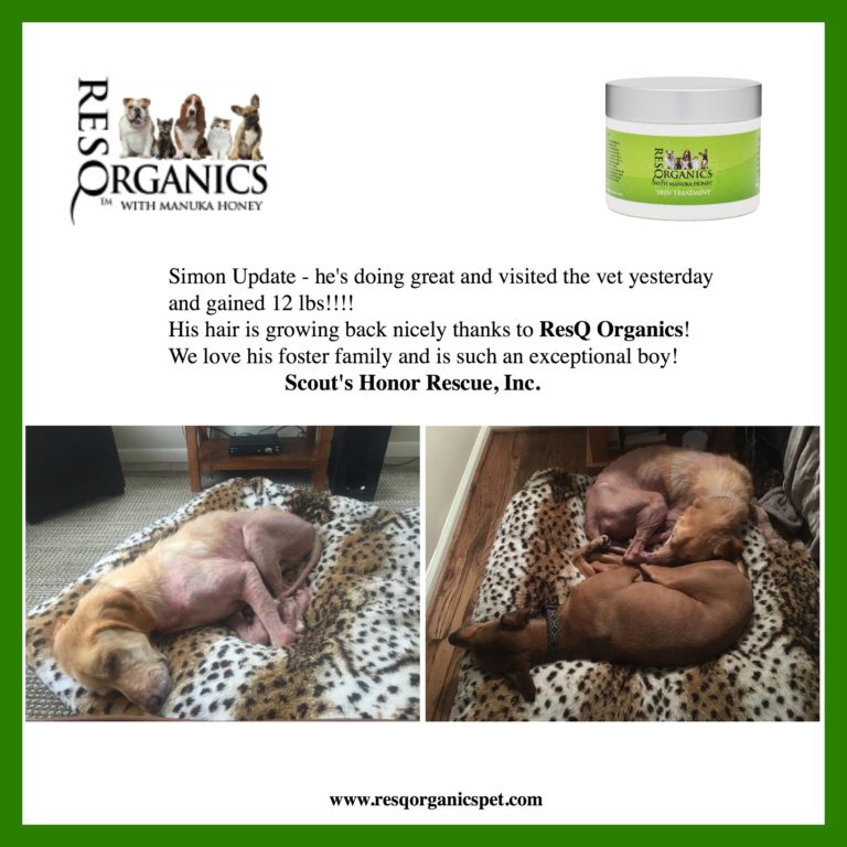 ResQ Organics Pet Skin Treatment - Effective for Hot Spots, Mange, Itchy Skin, Allergies, Dry Nose, Cracked Paws, Promotes Hair Growth. 2oz - $27.95