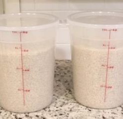 Cambro 8-Quart Round Food-Storage Container with Lid, Set of 2 8 Quart 9 31Xjz4X2gtL