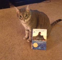 Island of the Blue Dolphins Paperback 11 31ZtwXdgF7L 1