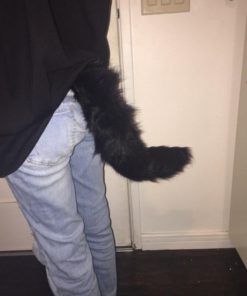 COSYEARS Faux Fur Fox Costume Tail Cosplay Halloween Christmas Party Costume One Size(Black) 12 41iIevMiAIL