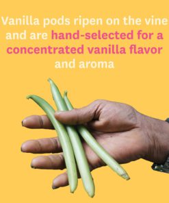 Pure Vanilla Extract for Baking - Heilala Vanilla, Award-Winning Pure Vanilla Extract Madagascar Bourbon Variety, Sugar Free, Sustainably and Ethically Sourced Vanilla Beans, Hand-Picked from the Kingdom of Tonga, Value Size - 16.9 fl oz 13 61 cZGUbTbL