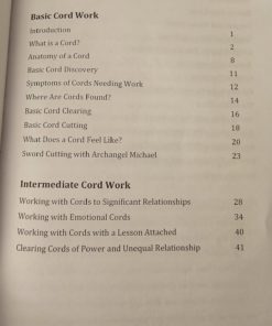 The Complete Cord Course: Working with Cords through Energy Work and Shamanic Healing Paperback 8 611pH1tFrcL