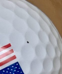 No Worry Sports Original Golf Globe Game - Water Globe Golf-Ball-on-The-Tee Challenge American Flag 15 61RLlNYLZXL 1