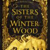The Sisters of the Winter Wood Hardcover 8 61W5z1qQ7UL 2