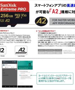 SanDisk Extreme PRO 256GB up to 95MB/s UHS-I/U3 SDXC Flash Memory Card - SDSDXPA-256G-G46 Standard Packaging 13 711Tu7vhZGL