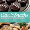 Classic Snacks Made from Scratch: 70 Homemade Versions of Your Favorite Brand-Name Treats Paperback 3 711jFA0bZL