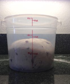 Alternative view of Cambro 8-Quart Round Food-Storage Container with Lid, Set of 2 8 Quart