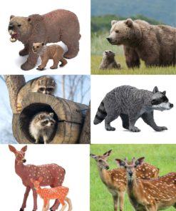 Alternative view of Woodland Animals 10-Piece Figurine Set: Realistic Elk, Wolf, Bear, Raccoon, Lynx, Deer Toys for Kids & Cake Toppers