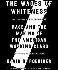 The Wages of Whiteness: Race and the Making of the American Working Class Paperback