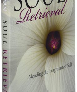 Soul Retrieval: Mending the Fragmented Self Paperback 6 71HprW0DrEL