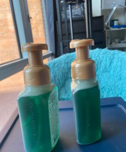 Bath & Body Works, Gentle Foaming Hand Soap, Vanilla Bean Noel (2-Pack) 8 71XLfHstNmL