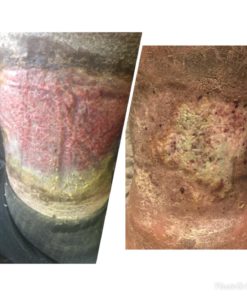 Terrasil Wound Care Max - 3X Faster Healing, Infection Protection Ointment for Bed sores, Pressure sores, Diabetic Wounds, ulcers, cuts, scrapes, and Burns (50 Gram Tube) 50 Gram (Pack of 1) 13 71k98Y 4XL