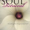 Soul Retrieval: Mending the Fragmented Self Paperback