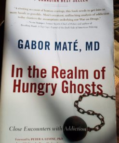 In the Realm of Hungry Ghosts: Close Encounters with Addiction Paperback, Illustrated 3 71tQCuAToL 2