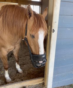 Alternative view of Tough 1 Easy Breathe Poly/Nylon Grazing Muzzle Black Horse