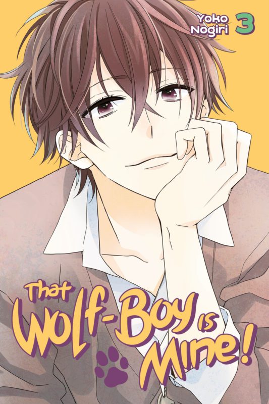 That Wolf-Boy Is Mine! 3 Paperback