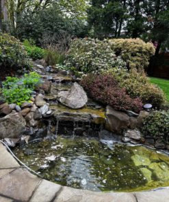 Ortho Snake B Gon Snake Repellent Granules, 2-Pound (Not Sold in AK) 2 Pound (Pack of 1) 14 91Q8qLf9ZkL