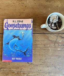 Deep Trouble (Classic Goosebumps #2) (2) Paperback 3 91yawjqHMpL