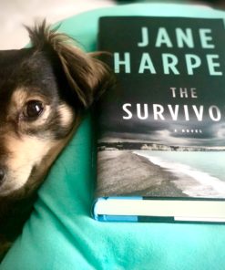 The Survivors: A Novel Hardcover 7 B1LI bNPvAS 2