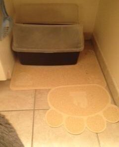 PET MAGASIN Cat Litter Mat (2-Mat Set) - Soft and Durable Pet Litter Mats for Cats, Dogs, and Puppies - One Big (24.5'' x 16.5'') and One Small (15.5'' x 12.5) Medium 29 2108RPyg4PL