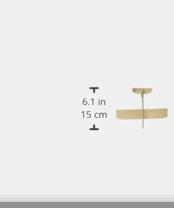 S&S Worldwide Balsa-Wood Top Gun Glider Model Planes. Assemble Planes and Decorate with Paints or Markers. Perfect for Field Days, Summer Camps, STEM Activities and Birthdays, Beige (Pack of 36) 15 216NjZkktL