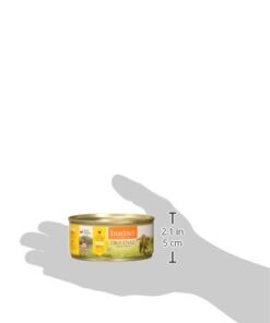 Instinct Original Grain Free Real Chicken Recipe Natural Wet Canned Cat Food, 5.5 Ounce (Pack of 12) 5.5 Ounce (Pack of 12) 28 2178bKbugIL
