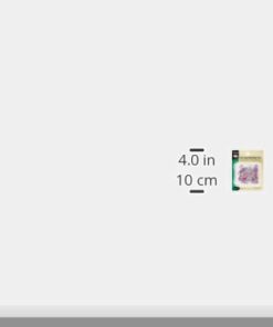 Dritz 64 Pearlized Pins, Long, 1-1/2-Inch (120-Count),Assorted 7 21BrB07sgxL