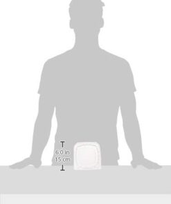 DART Container C53PST1-100 DART 5" Clear Hinged Plastic Food Take Out to-Go/Clamshell Container 100 Pack, 5 Inch 8 21XyzM1so L