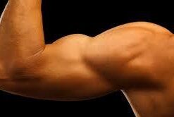 C4 Original Pre Workout Powder Fruit Punch - Vitamin C for Immune Support - Sugar Free Preworkout Energy for Men & Women - 150mg Caffeine + Beta Alanine + Creatine - 60 Servings 60 servings (Pack of 1) 35 21gJAsYxBvL