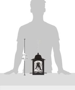 Perky-Pet 363 Birds and Berries Lantern Feeder 8.20 x 8.20 x 10.75 inches 16 21o3l29kxES