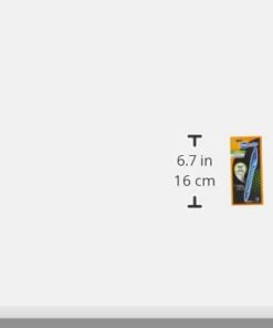 BIC Gel-ocity Quick Dry Blue Gel Pens, Medium Point (0.7mm), 12-Count Pack, Retractable Gel Pens With Comfortable Full Grip 12 Count (Pack of 1) 21 21sQPXLx9fL