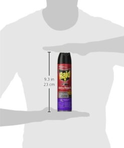 Raid Ant & Roach Killer Spray For Listed Bugs, Keeps Killing for Weeks, Lavender Scent 12 Ounce (Pack of 1) 12 Ounce (Pack of 1) 18 31 Nsw8IML
