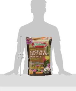 Hoffman 10410 Organic Cactus and Succulent Soil Mix, 10 Quarts 21 3101lxHhcL