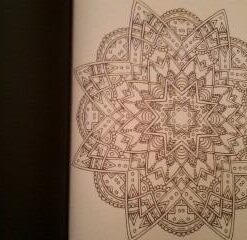 Mandala Coloring Book: 100+ Unique Mandala Designs and Stress Relieving Patterns for Adult Relaxation, Meditation, and Happiness (Magnificent Mandalas) Paperback, Large Print 66 311dVv3OgpL