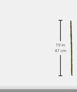 Galápagos (05320) Mossy Terrarium Sticks 18" (Pack of 6) 18" Green 13 313K7eAkGUL