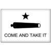 Texas Come and Take It Flag Sticker Decal 5" x 3" 18 313nnXZdcyL