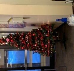 TADICK Assorted Color 50 Pack Beer Ping Pong Balls Washable Plastic Table Tennis Ball 29 314SCl9X5LL